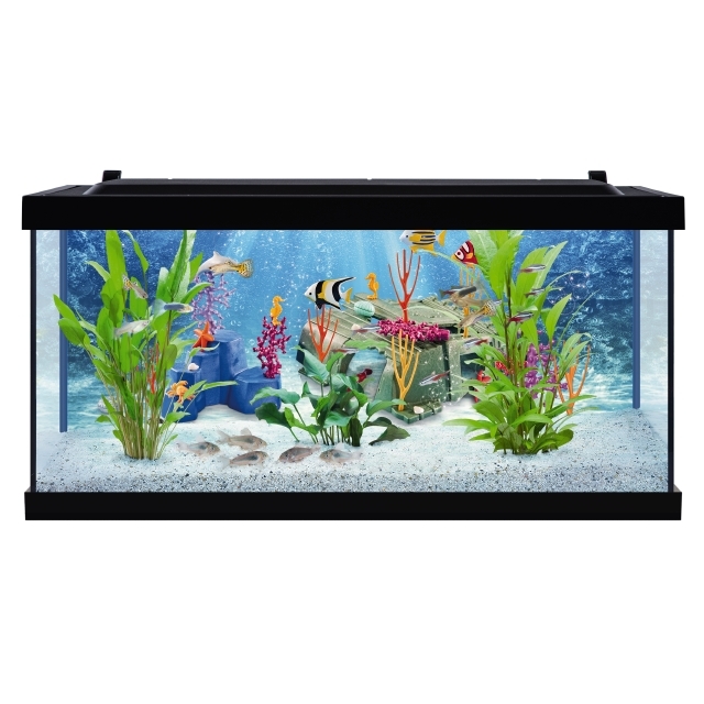 Tetra PLAYMOBIL Explore Your Aquarium 10 Gallon Kit Tetra